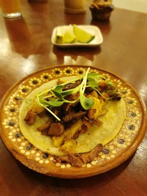 Delicious authentic vegan Mexican! at Plantivoros in Playa Del Carmen