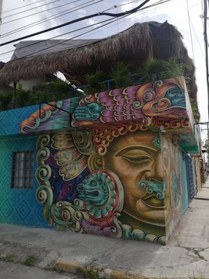 From outside at Plantivoros in Playa Del Carmen