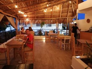 plantivor at Plantivoros in Playa Del Carmen