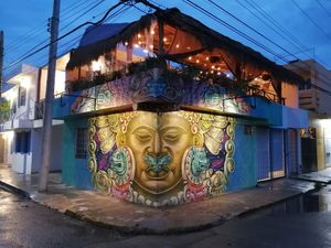 planti at Plantivoros in Playa Del Carmen