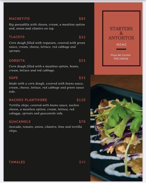 Menu at Plantivoros in Playa Del Carmen