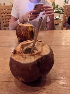 Coconuts! at Plantivoros in Playa Del Carmen