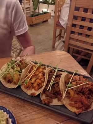 Tacos at Plantivoros in Playa Del Carmen
