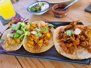 Tacos  at Plantivoros in Playa Del Carmen