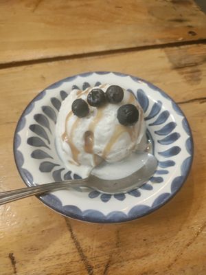 Ice cream! at Plantivoros in Playa Del Carmen