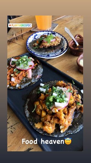 Vegan Food heaven! Come check it out!  at Plantivoros in Playa Del Carmen