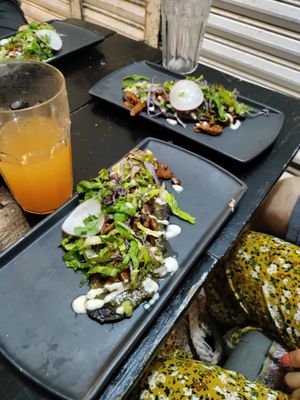 Tlacoyo at Plantivoros in Playa Del Carmen