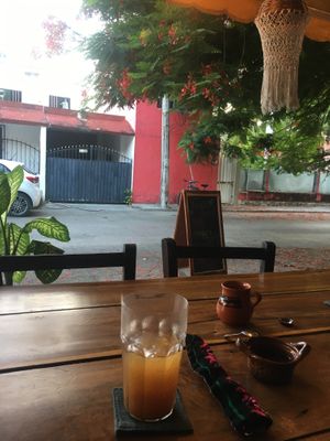 they have a fruitwater of the day, it was with tamarind😄 at Plantivoros in Playa Del Carmen