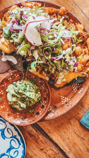  at Plantivoros in Playa Del Carmen