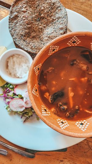  at Plantivoros in Playa Del Carmen