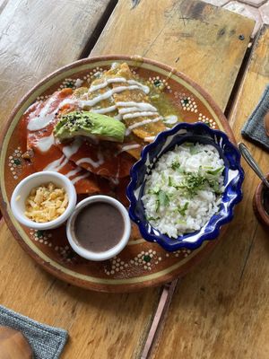 Enchiladas😄 at Plantivoros in Playa Del Carmen