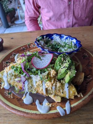 Flautas at Plantivoros in Playa Del Carmen