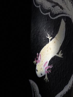 Belle déco !  at Plantivoros in Playa Del Carmen