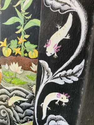 Axolotl 😍  at Plantivoros in Playa Del Carmen