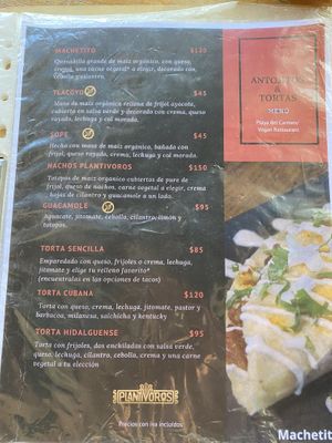   at Plantivoros in Playa Del Carmen