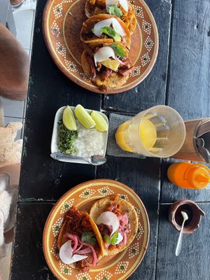   at Plantivoros in Playa Del Carmen