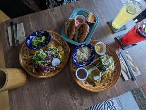  at Plantivoros in Playa Del Carmen