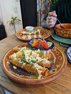  at Plantivoros in Playa Del Carmen