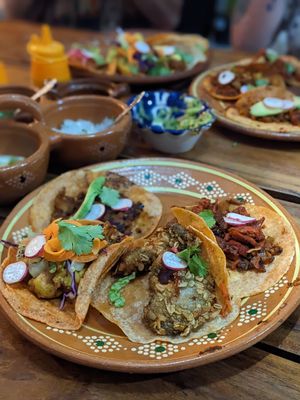  at Plantivoros in Playa Del Carmen