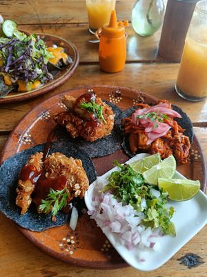  at Plantivoros in Playa Del Carmen