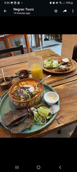  at Plantivoros in Playa Del Carmen