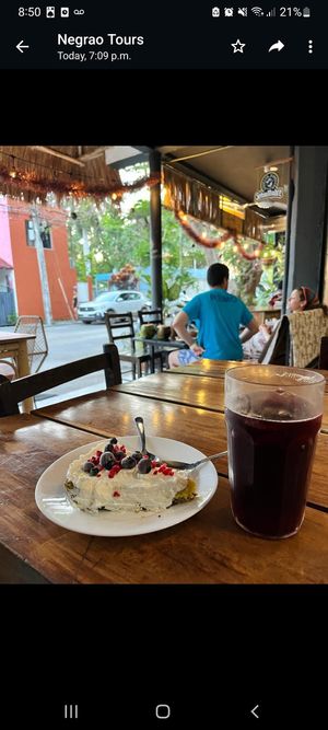  at Plantivoros in Playa Del Carmen