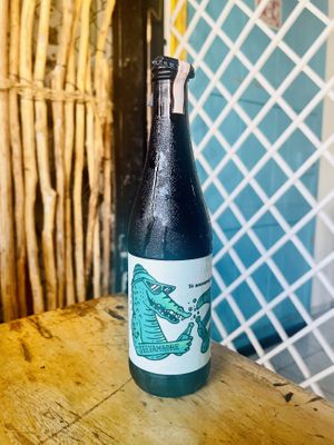 Kombucha   at Plantivoros in Playa Del Carmen