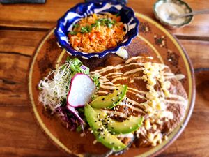  at Plantivoros in Playa Del Carmen