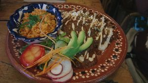 Enmoladas  at Plantivoros in Playa Del Carmen