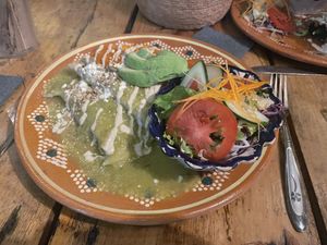   at Plantivoros in Playa Del Carmen