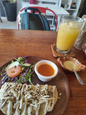  at Plantivoros in Playa Del Carmen