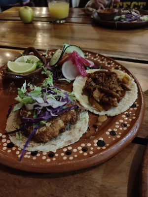  at Plantivoros in Playa Del Carmen