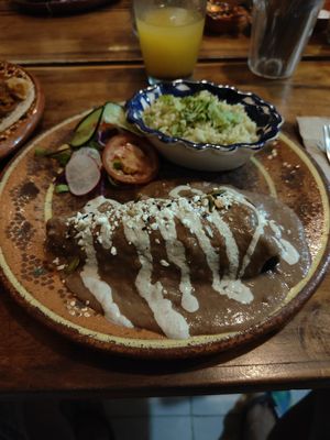  at Plantivoros in Playa Del Carmen