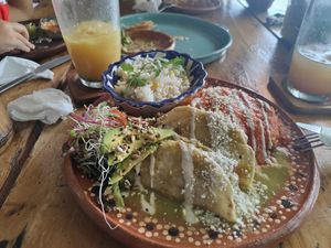  at Plantivoros in Playa Del Carmen