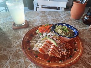  at Plantivoros in Playa Del Carmen