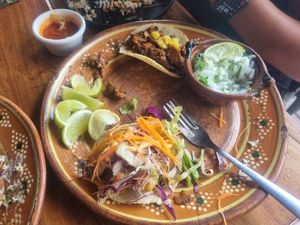  at Plantivoros in Playa Del Carmen