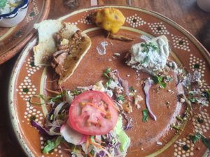  at Plantivoros in Playa Del Carmen