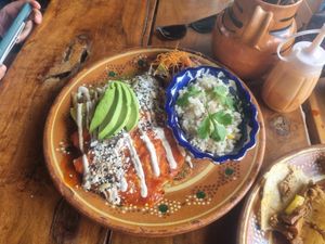  at Plantivoros in Playa Del Carmen