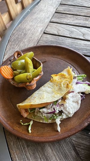   at Plantivoros in Playa Del Carmen