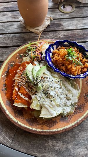 Enchiladas  at Plantivoros in Playa Del Carmen