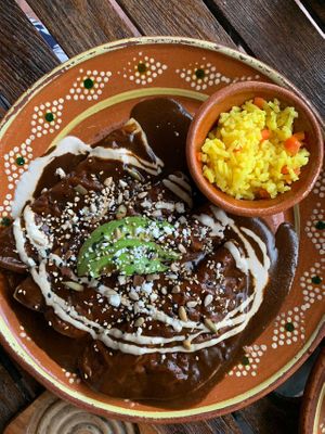  at Plantivoros in Playa Del Carmen