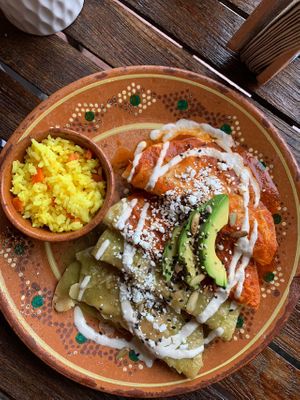  at Plantivoros in Playa Del Carmen