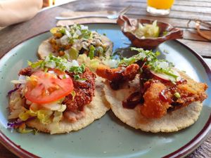 Tacos at Plantivoros in Playa Del Carmen