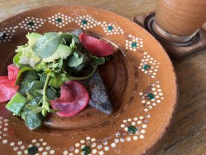   at Plantivoros in Playa Del Carmen