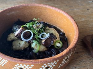   at Plantivoros in Playa Del Carmen