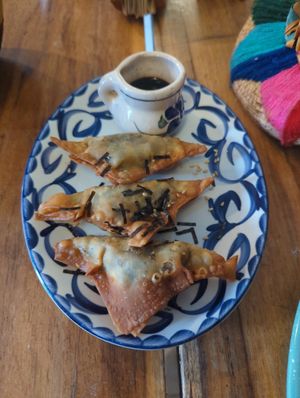  at Plantivoros in Playa Del Carmen