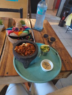  at Plantivoros in Playa Del Carmen