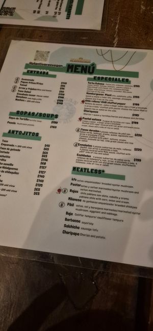  at Plantivoros in Playa Del Carmen