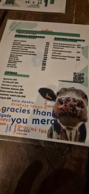  at Plantivoros in Playa Del Carmen