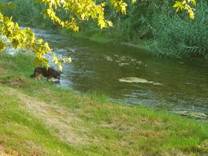  at Drakiana Taverna in Crete
